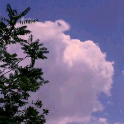 我吃鸡特牛2游戏下载